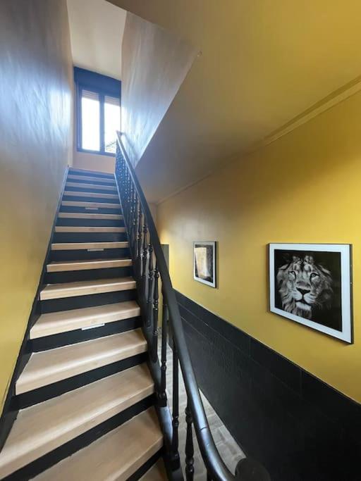 Le Cosy Dunkerquois Daire Dunkirk Dış mekan fotoğraf